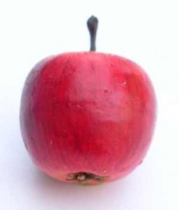 cervene-jablko-pro-kone.jpg
